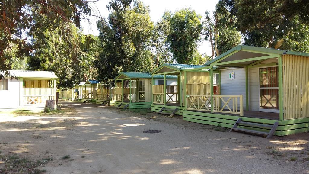 Le Camping De La Plage Aregno Екстериор снимка